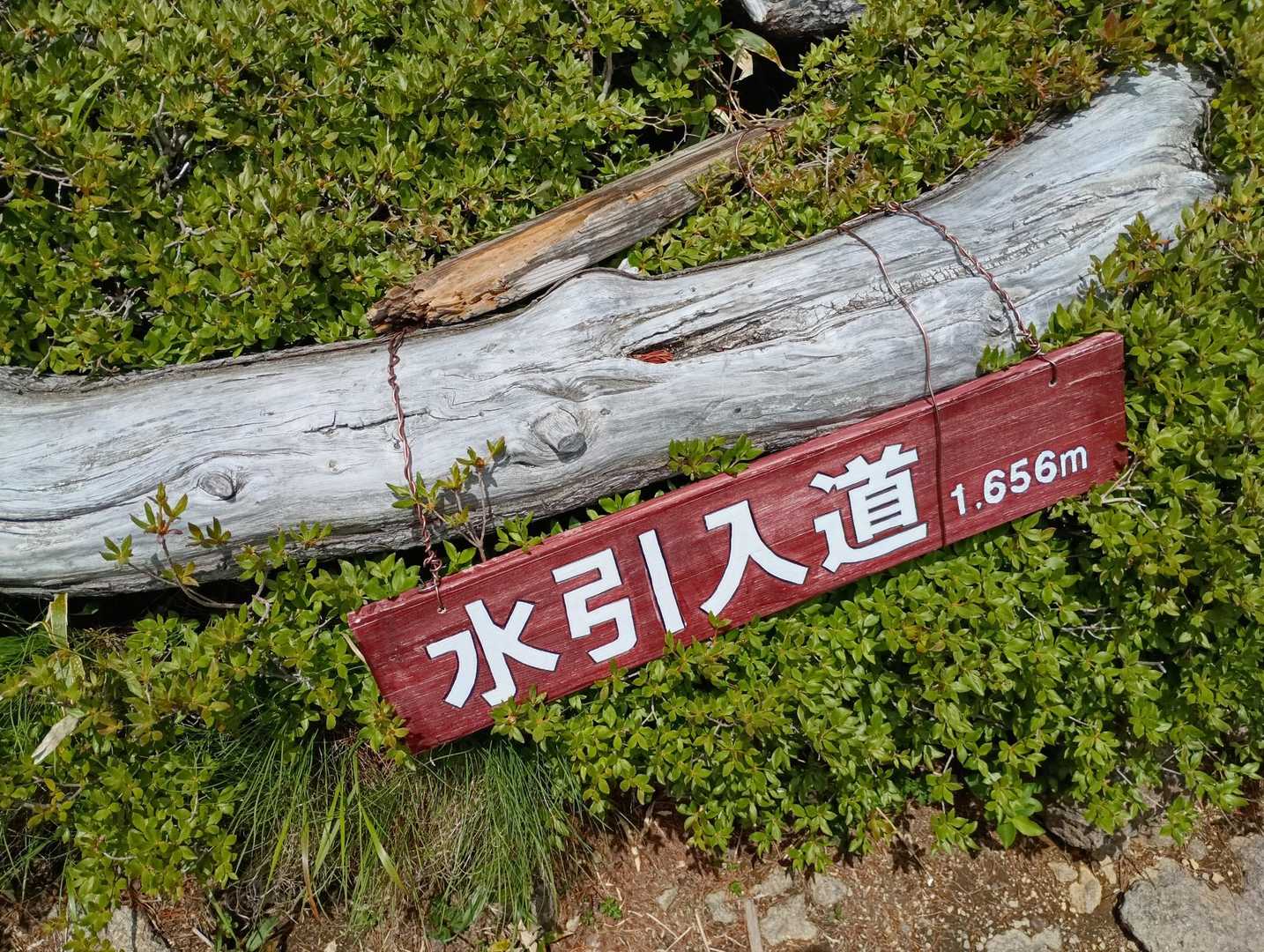 白石女子校小屋跡-不忘山-南屏風岳-水引入道 縦走コースの写真