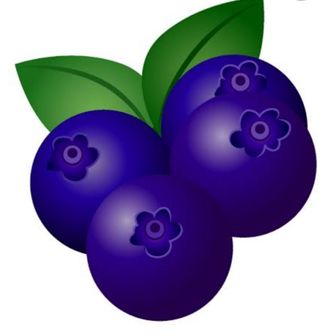 blueberry