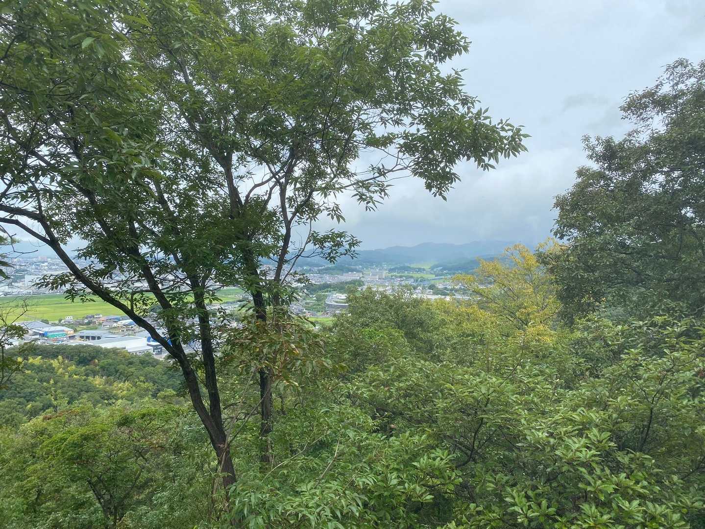 ☔️降ってなくて良かった