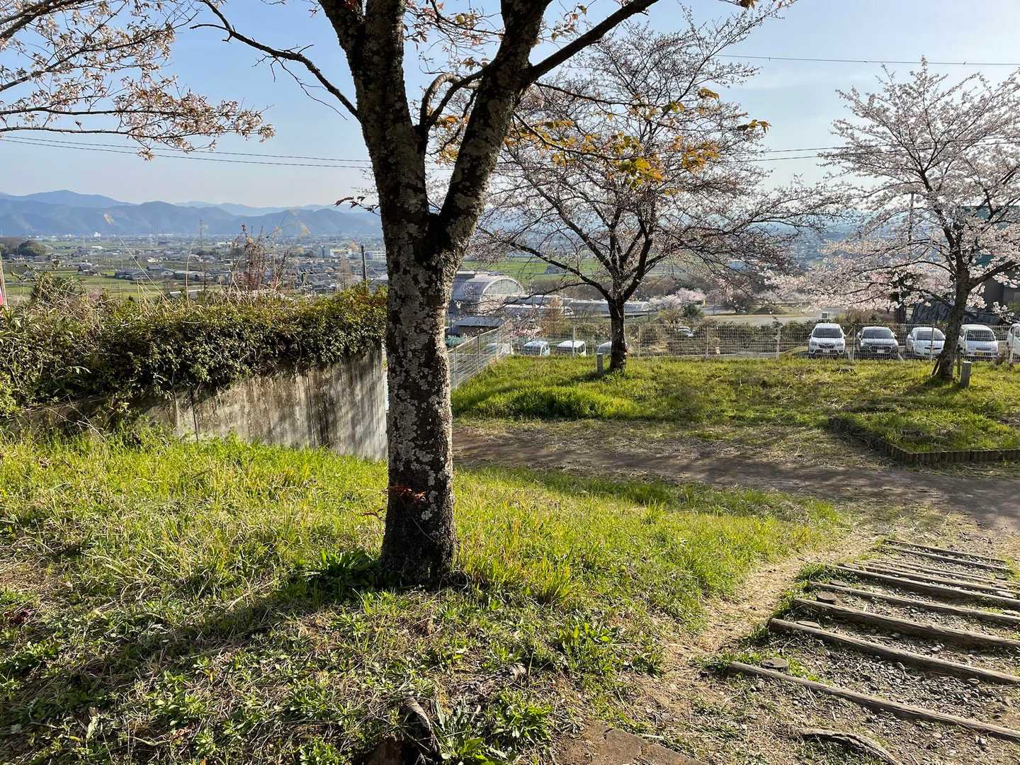 朝☀️7時半に到着！まだまだ余裕の駐車場