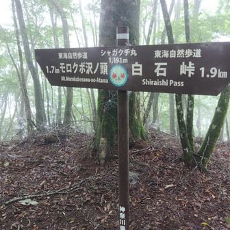 シャガクチ丸山頂