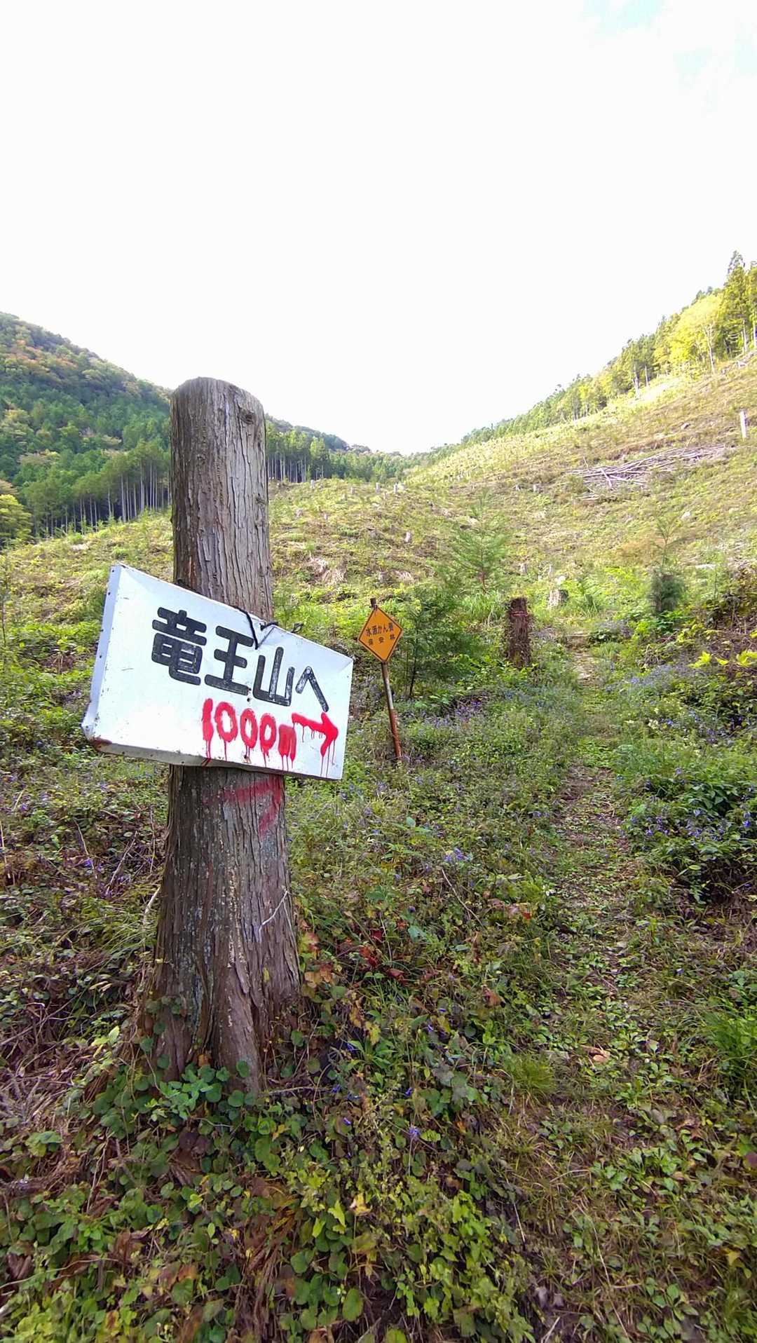 なんか恐いぞ😱
赤字の1000m😨