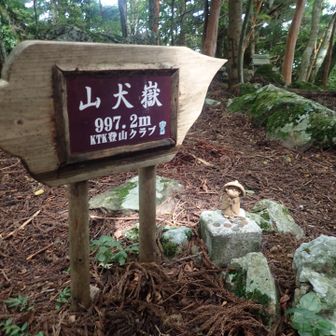 山頂
