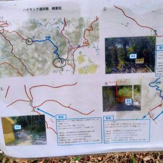 結局杣谷峠まで何の支障もなく通過。