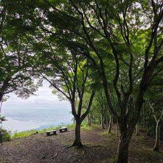 さてあそこで