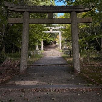 ダブル鳥居⛩️⛩️