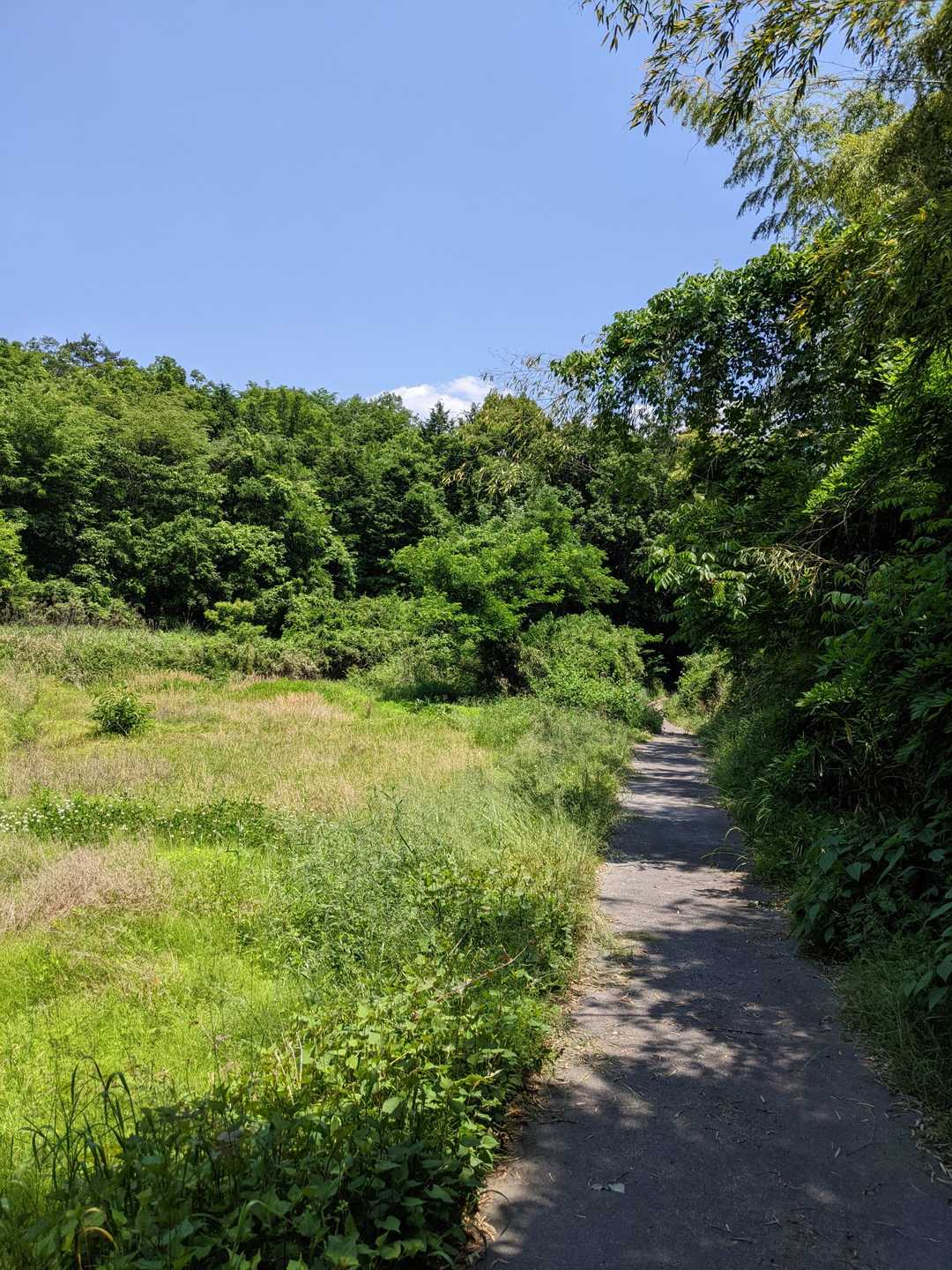 甘南備山 周回コースの写真