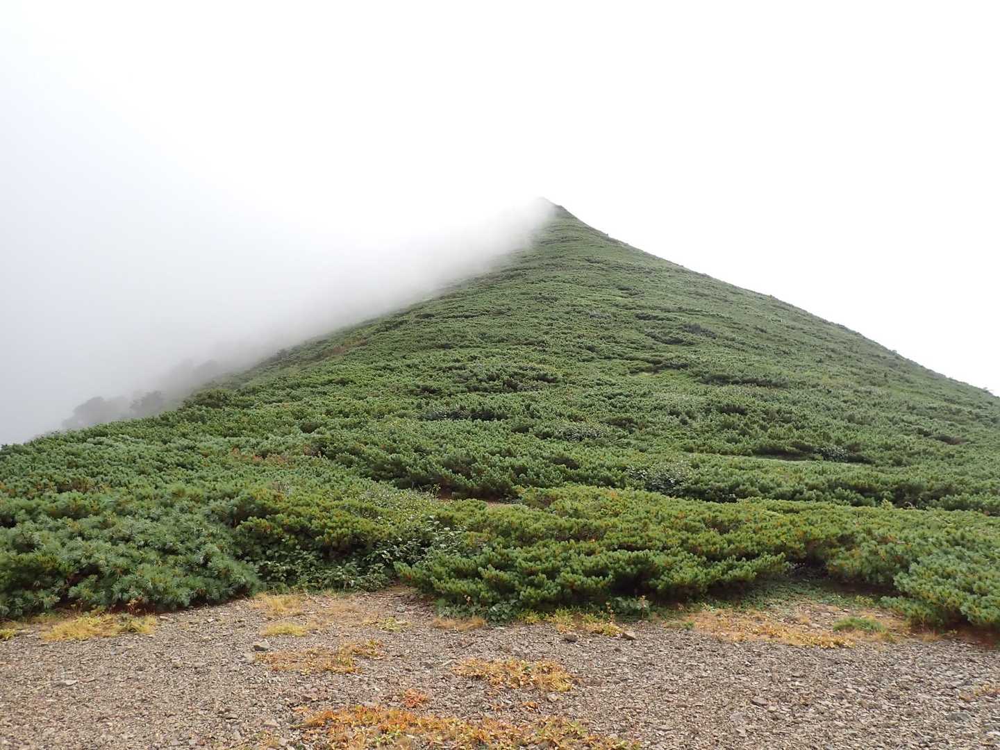 チロロ方面。ニセピークがかろうじて見えます😶‍🌫️