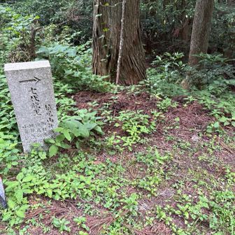 七代龍王社に寄ります。