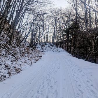 上にも🅿️はありますが、雪の状態が分からず
愛車はFFなのでオトナしく下に停めて歩きます
冬山になるとやっぱジムニー羨ましい案件🥸
でも、追い抜いていく軽自動車を見て
なんや行けるんかーい🫱
そーなればぽぽさんコケずに済んだのに笑