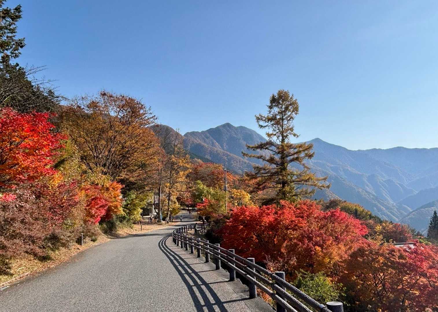 やや右よりに雲取山