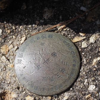 愛宕山の三角点
円盤型は初めて見た