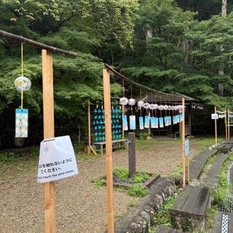 夏季限定イベント『突然ですが、2000個の風鈴が並びます。』開催中