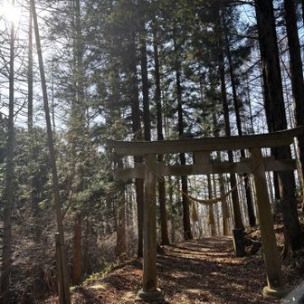 今日もお邪魔します👏