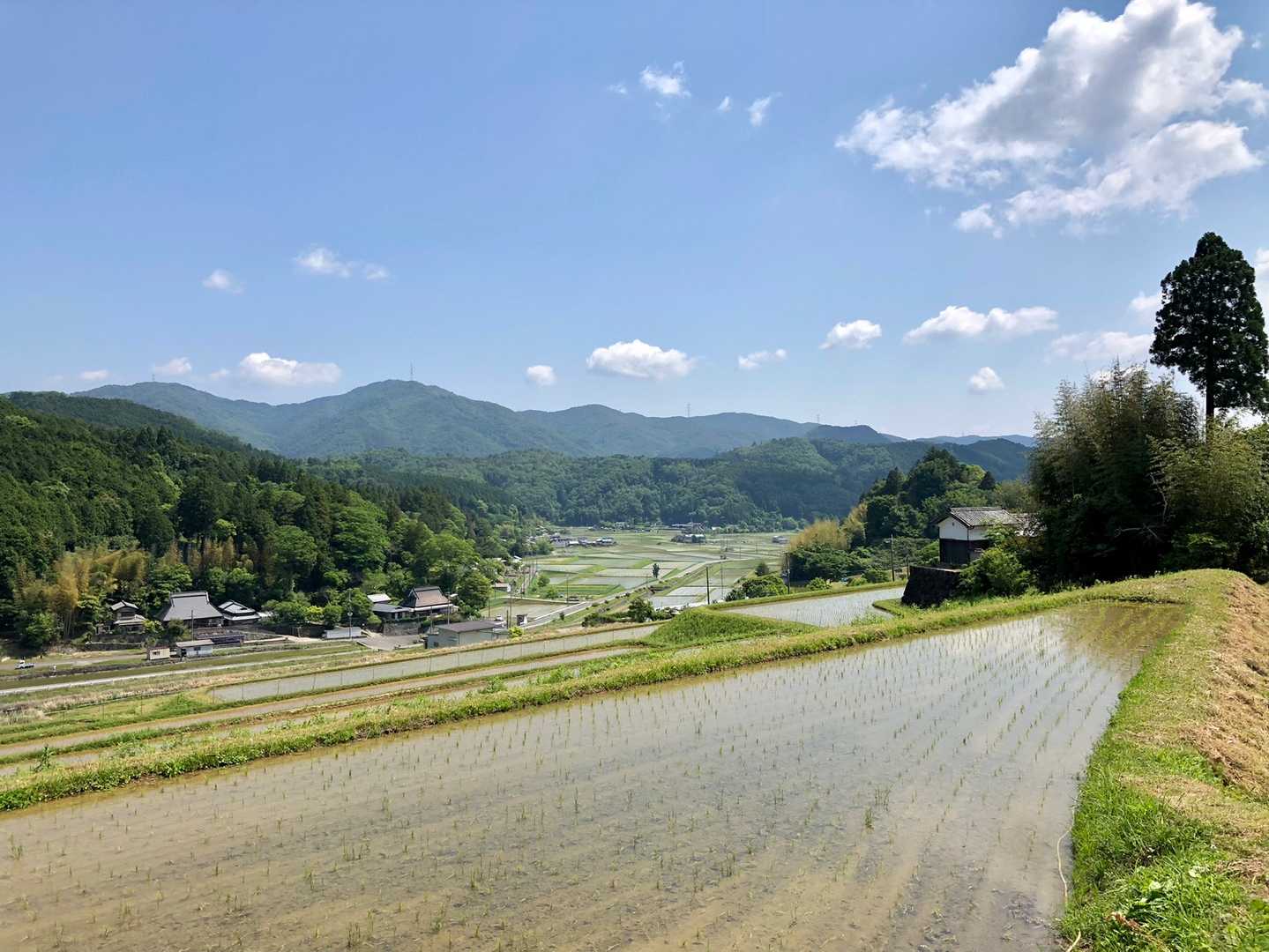 おおっ！田んぼにお水がっ💧