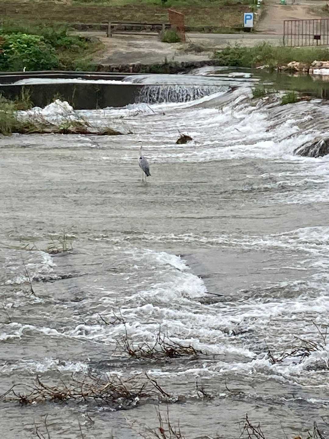 水量が多い💦