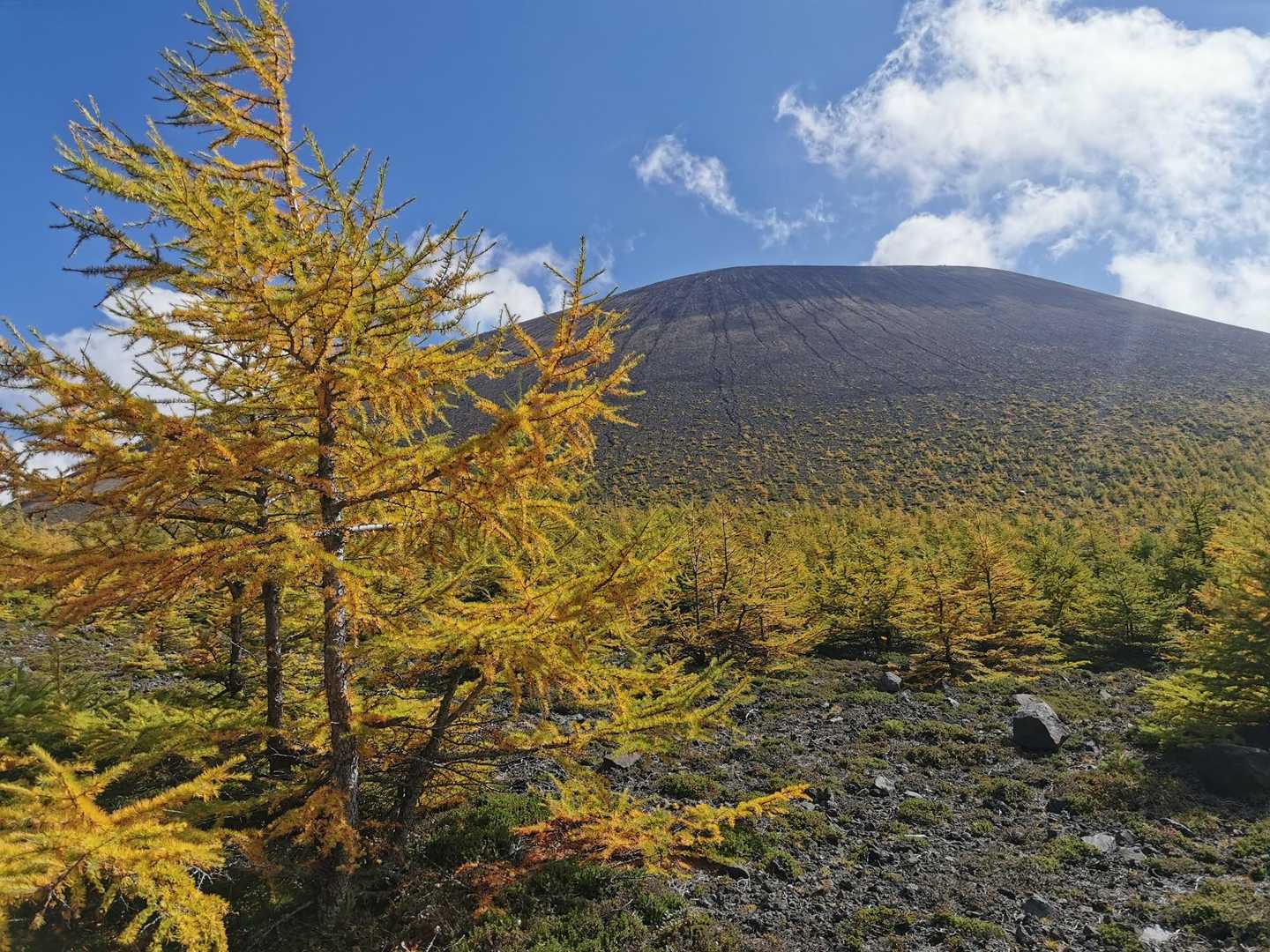紅葉🍁した唐松と前掛山がマッチしてます🤩