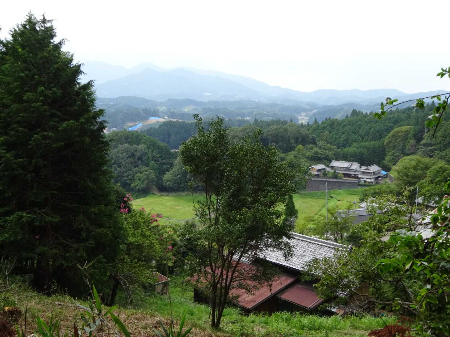 伊那佐山 往復コースの写真