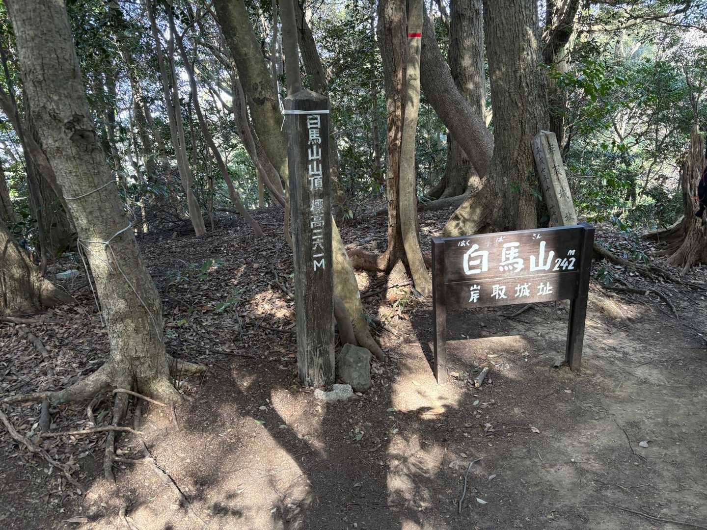 白馬山 周回コースの写真