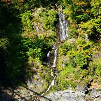 きれいな滝