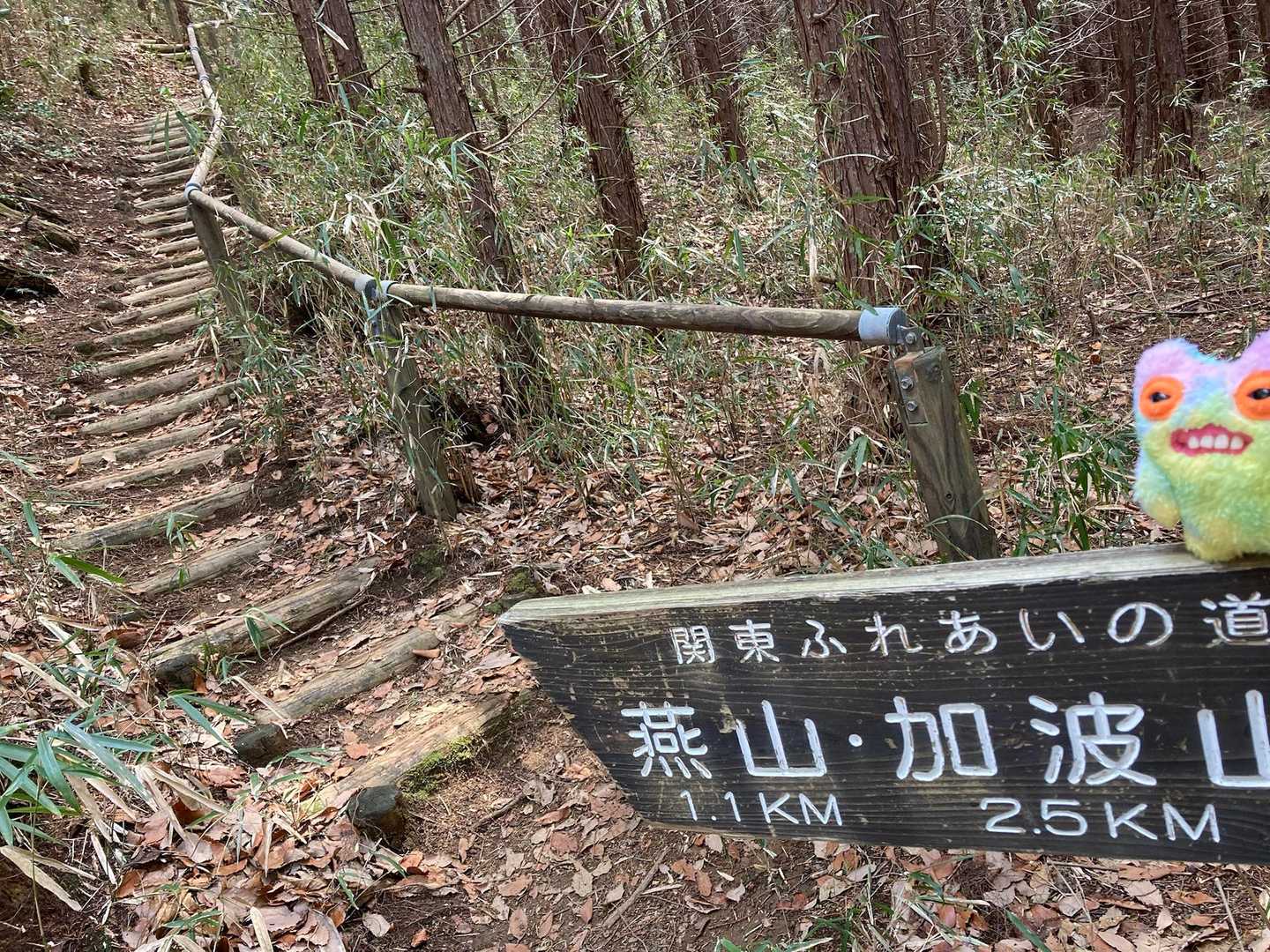 いよいよ悪魔の👿急登急階段が始まります💦