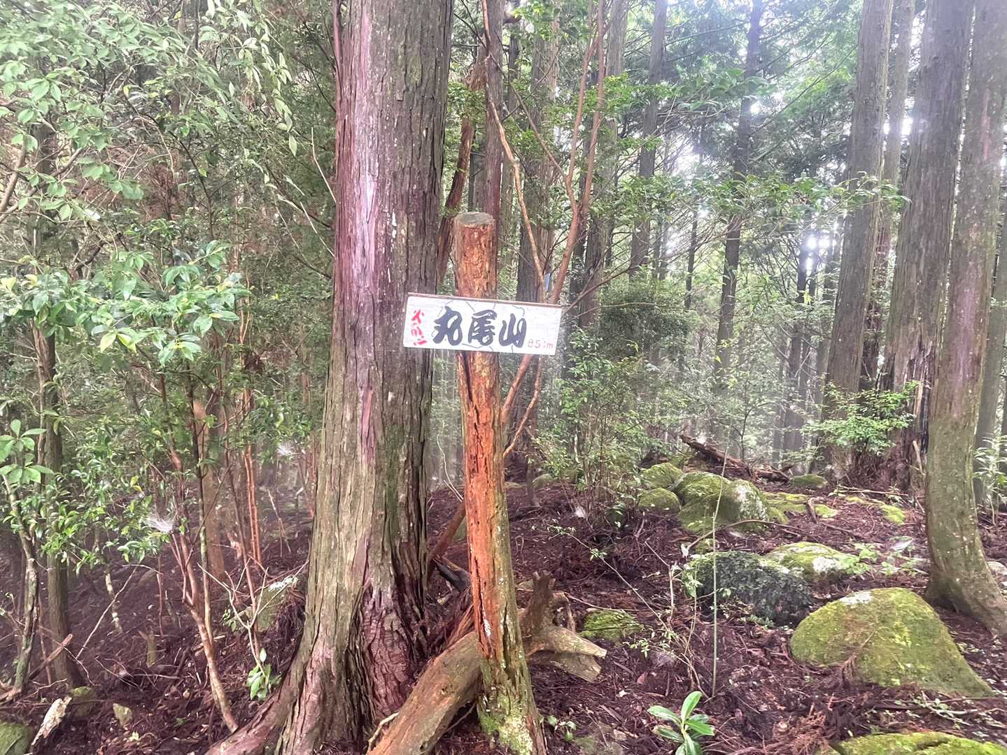 丸尾山（三重県）の写真