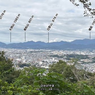 少し下ってきて、広場のところからの眺望。
丹沢の山々が見えました⛰️