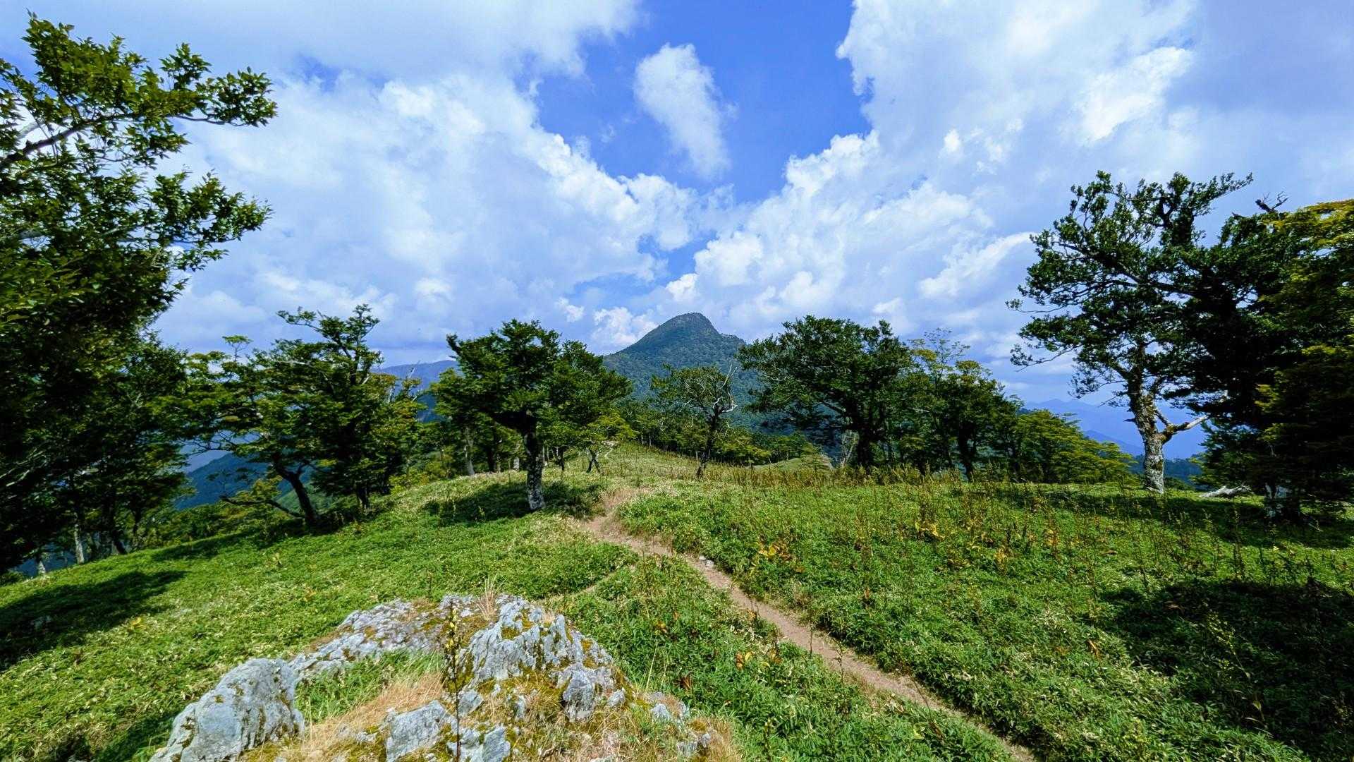 太尾登山口-古田ノ森-千丈平-釈迦ヶ岳 往復コースの写真