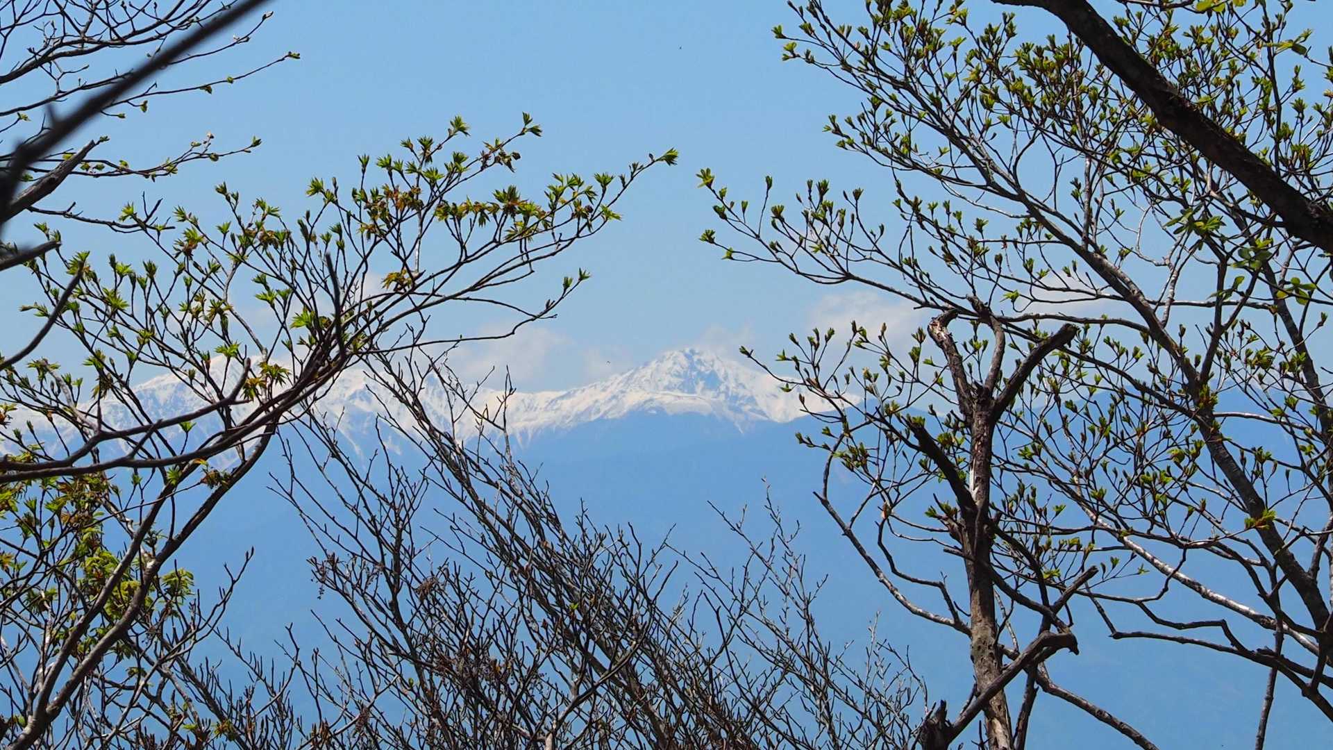 北岳見えた