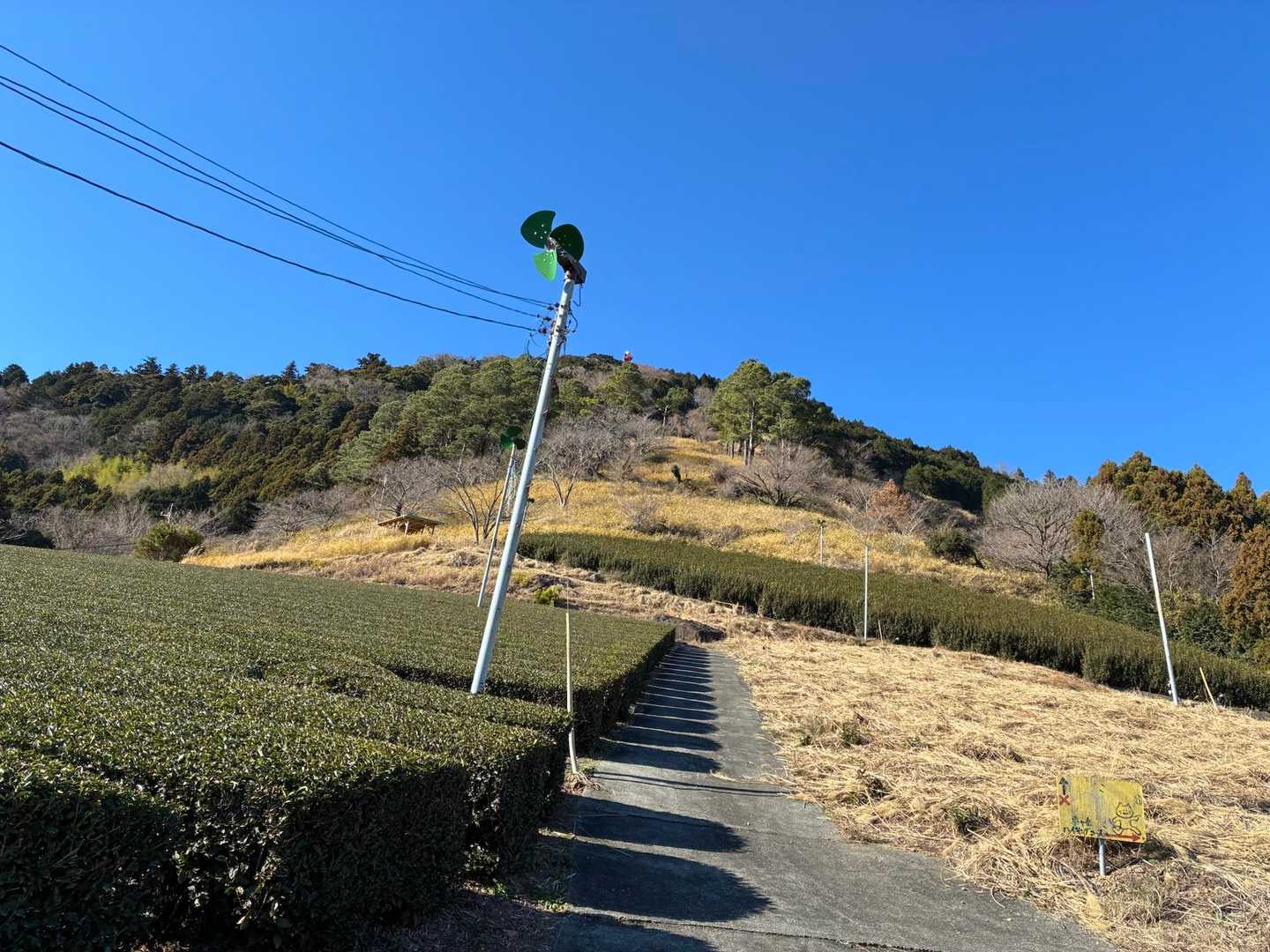 空が青い✨