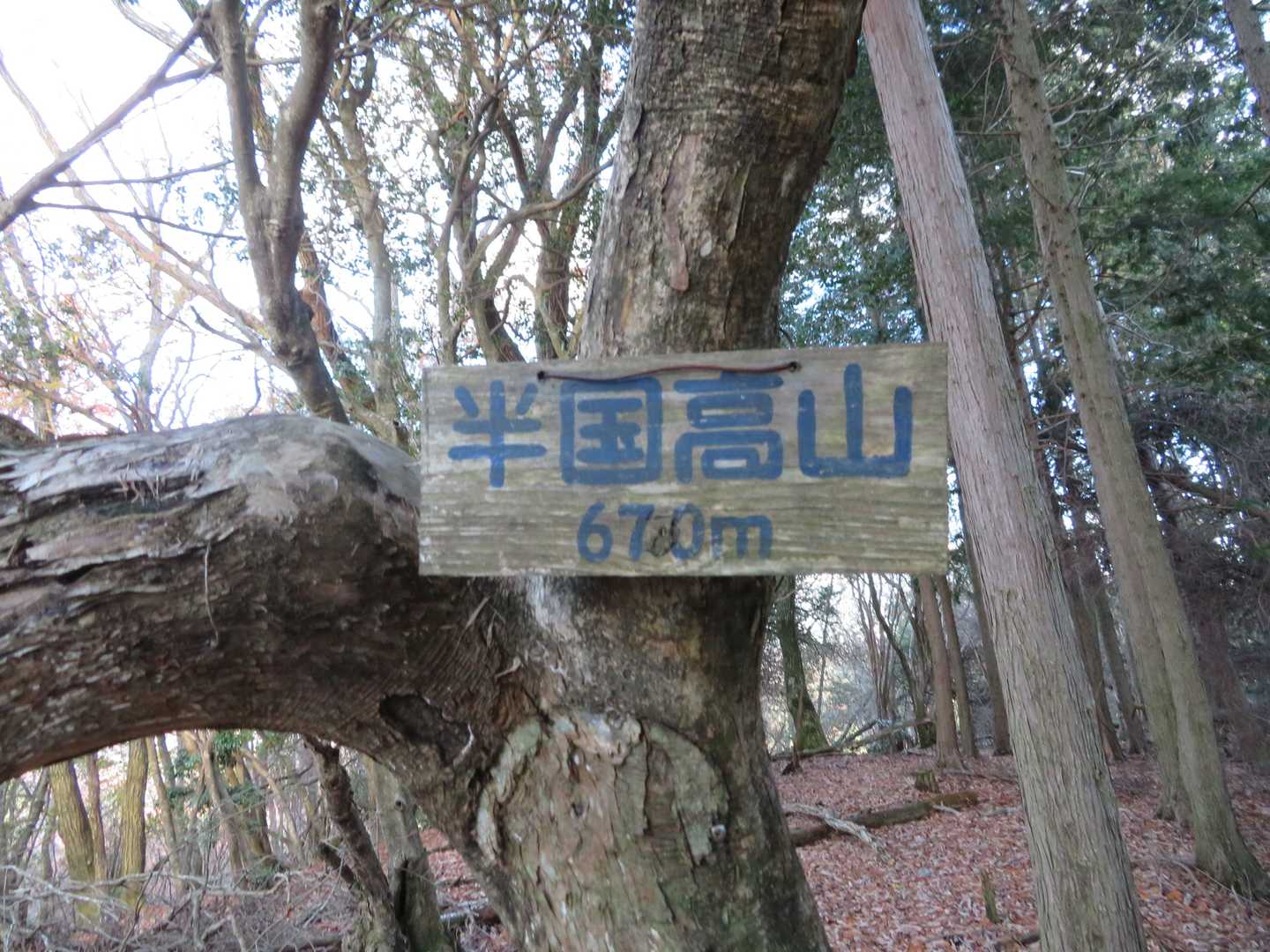 半国高山　669 m