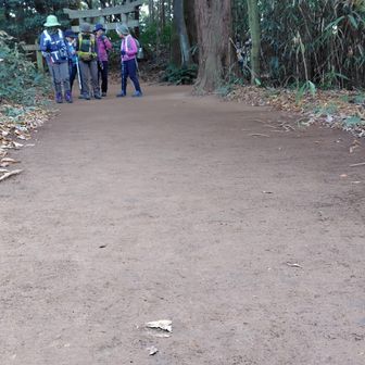 神社の前は磨いたように綺麗。