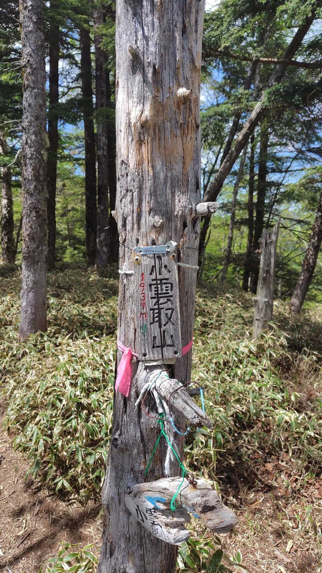 小雲取山、到着⛰️