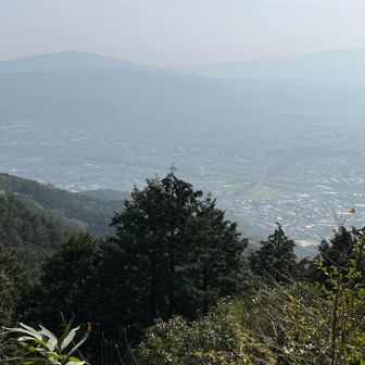 さっきより高い位置からの水城跡