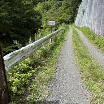 さぁ1時間歩いてゲートまで帰ろう
