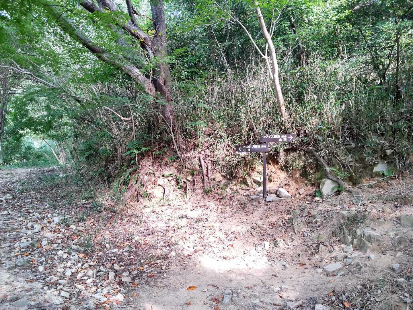 左から登り
右から下りてきた