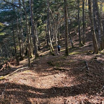 気持ちの良いお山歩道