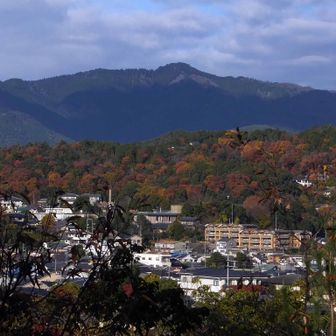 ミルフィーユ・ア・ターゴ