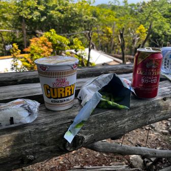 昼はカレー味＋ノンアルと保冷剤代わりの冷凍枝豆