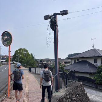 越生駅でアラさんと合流して、まずはニューサンピア方面へ。
電柱にでっかいセミ⁉️😳
ナウシカの腐海って…ここにあったんだ…