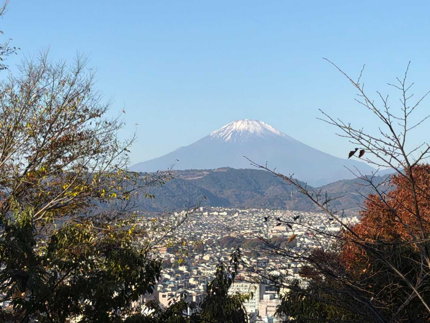弘法山公園入口登山口-権現山-弘法山-善波峠-吾妻山-弘法 縦走コースの写真