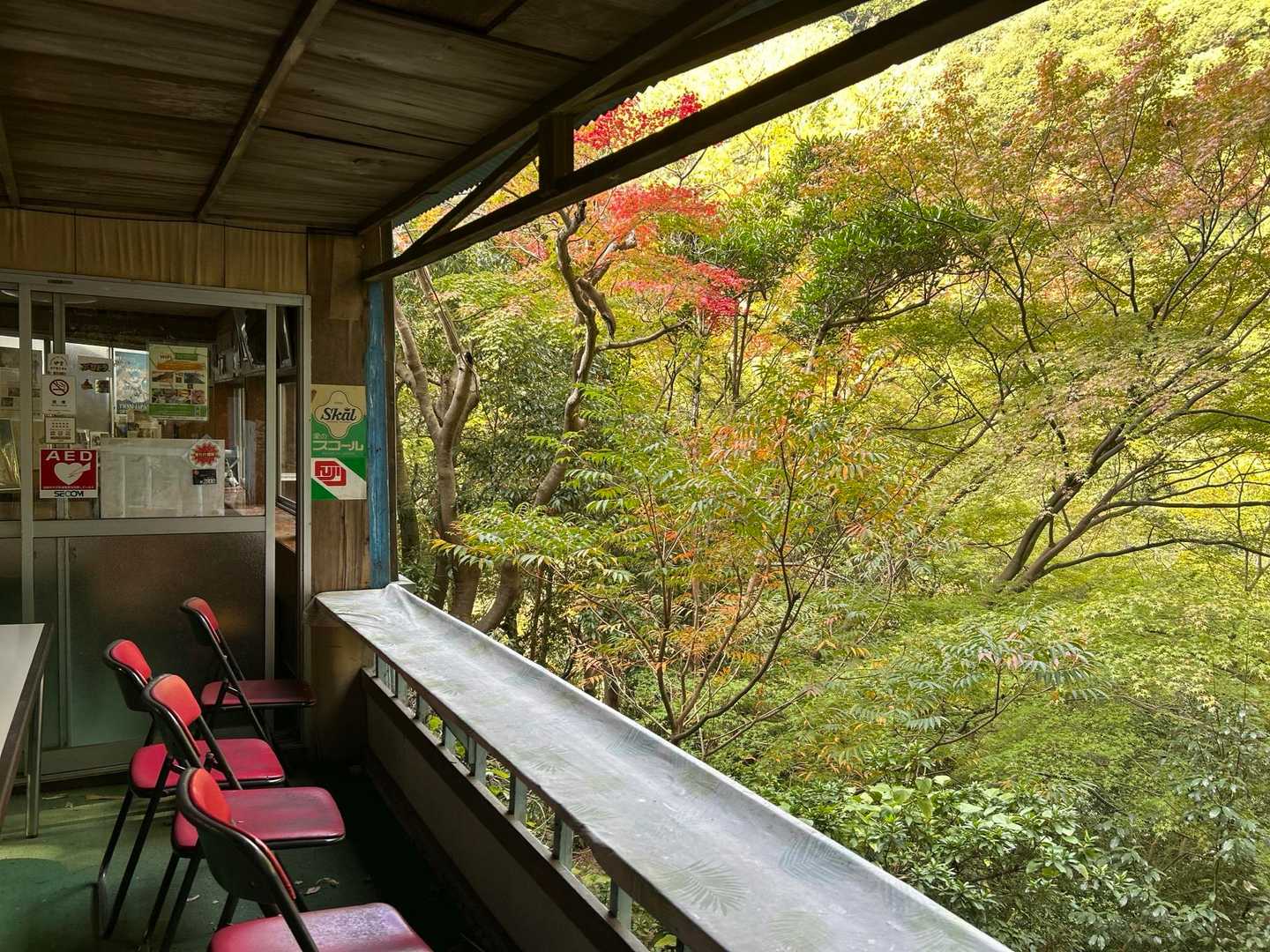 新神戸駅-滝山城跡登山口-再度越-諏訪神社 縦走コースの写真