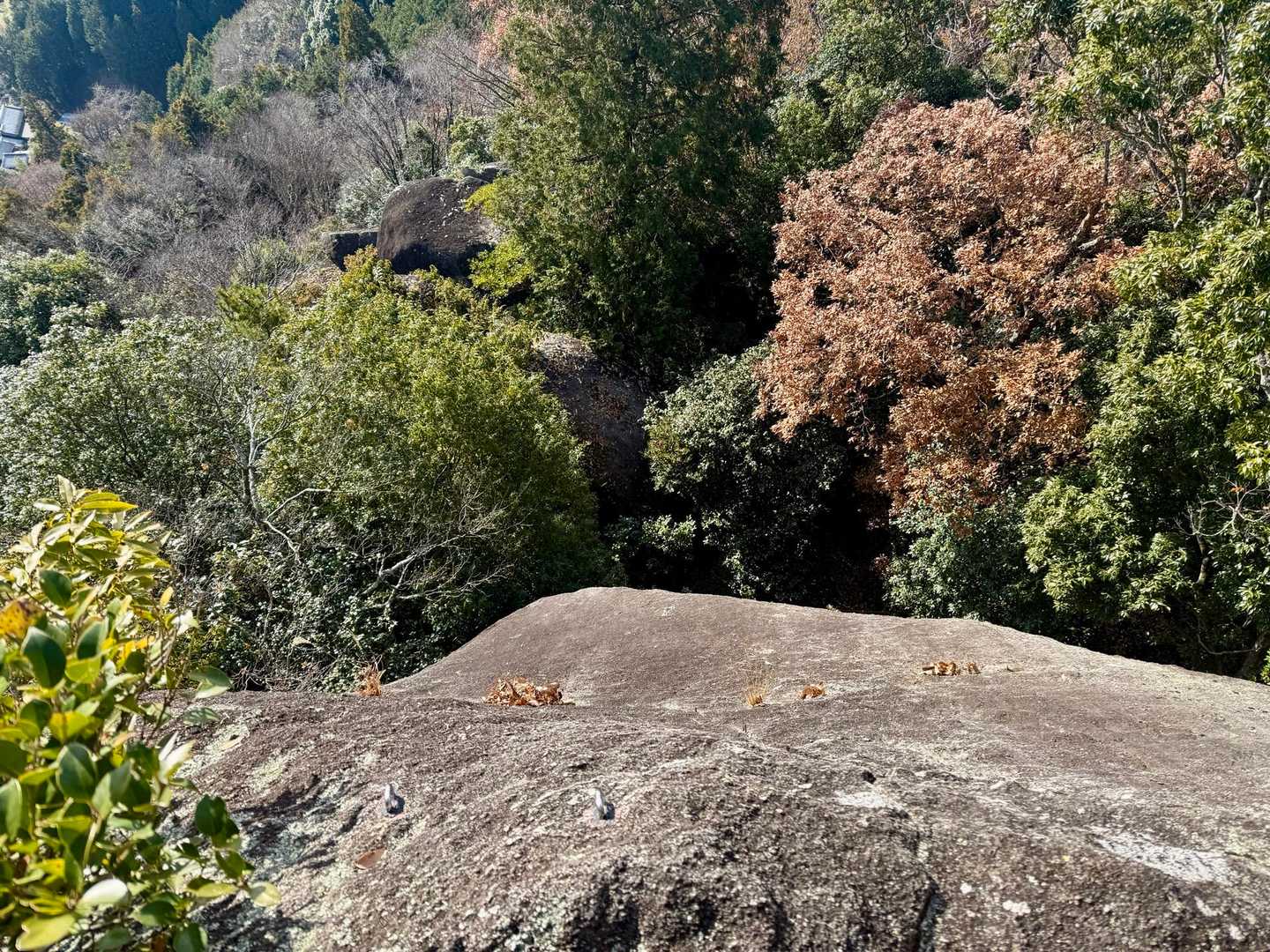 ここ、クライミング🧗‍♀️やれるとこ？