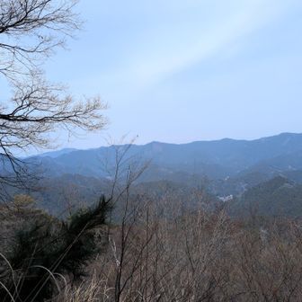 こんなとこに展望台が！
皆さんの情報のおかげでちゃんとたどり着きました。感謝です😊