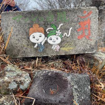 何やろ〜可愛い🩷