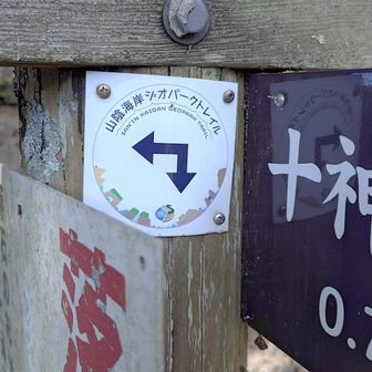 ジオパークトレイルはどこを指しているのかしら。下りは一気に中坂を下りました。