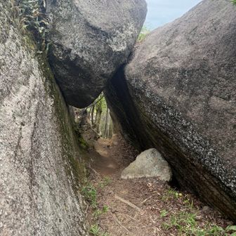 いつもの岩🪨