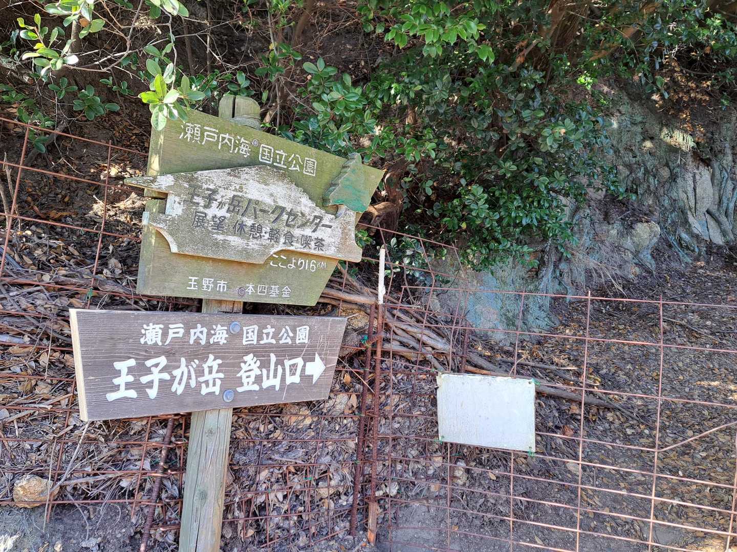ここから！