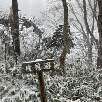 ちょっと横道に入り、片貝沼へ、でも視界悪く沼はどこ、、、？
