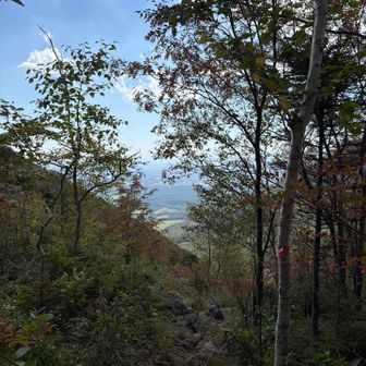 下山はあっという間。麓が見えてきた👀